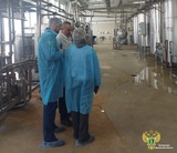 Одно из предприятий Ивановской области выпускало опасные молокопродукты