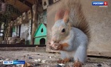   Ивановцы могут поделиться излишками урожая зоопарком