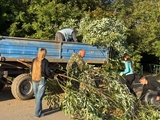 Жители Вичуги приняли участие во Всероссийском экологическом субботнике "Зеленая Россия"