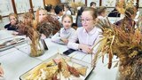 Ивановские агроклассы получили новое учебное оборудование