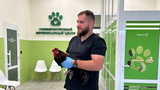 Ивановские ученые нашли способ повысить эффективность производства яиц и мяса птицы