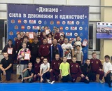 Ивановские спортсмены завоевали 16 медалей по спортивной греко-римской борьбе