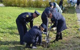 В Комсомольском районе высадили рябиновую аллею в честь 160-летия института судебных приставов
