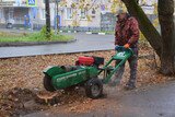 В Иванове избавляются от пней после спиленных деревьев 