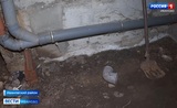 Жители многоквартирного дома в Богородском жалуются на канализационные стоки в подвале