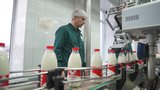 Цены на молочную продукцию в Ивановской области снизились
