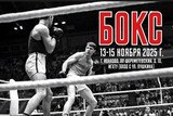 В Иванове проходят 67-е региональные соревнования по боксу