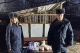 Медики ФСИН России помогли приюту для животных в Ивановской области