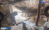 Ивановские десантники уничтожили пункты временной дислокации ВСУ в Херсонской области