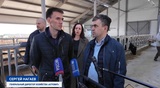 В крупнейший в регионе молочный комплекс завезли первых животных 
