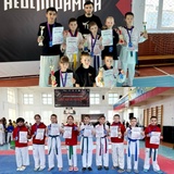 Ивановцы завоевали 86 медалей на открытом турнире и детско-юношеском фестивале по тхэквондо