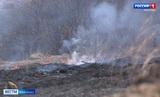 В Ивановской области уже зафиксировано 2 случая пала сухой травы