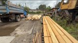 Полиция Ивановской области задержала «черного лесоруба» за махинации с древесиной