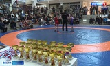 Открытые поединки по греко-римской борьбе прошли в Иванове