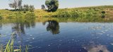 Полиция задержала браконьера с острогой в Ивановской области