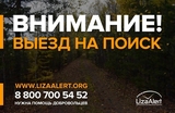 Волонтеры отряда «Лиза Алерт» Ивановской области открыли сезон поиска пропавших грибников
