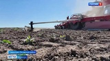Почти 75 тысяч гектаров составит площадь ярового сева в Ивановской области