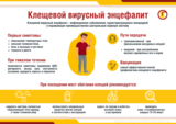 Почти в 2 раза выросло число жертв укусов клещей в Ивановской области
