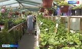 Россельхознадзор проверяет питомники растений