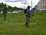 В Иванове продолжается выкашивание газонов