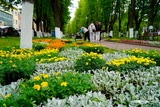 В Фурманове прошёл субботник на центральной аллее