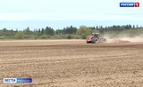 Посевная кампания в регионе перешагнула «экватор»