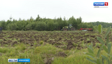 Аграрии Ивановской области получили 40% средств господдержки