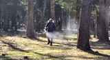 Детские площадки и общественные пространства в Иванове обрабатывают от клещей