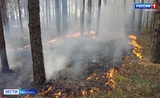 В лесах Ивановской области сохраняется малая пожарная опасность