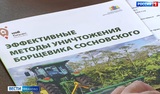 В Ивановской области начнут изымать у собственников земли с борщевиком