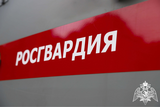 Росгвардейцы задержали 28-летнего вора в Приволжске