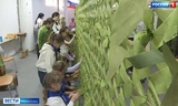 Ивановские школьники и студенты помогают плести масксети