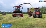 В сельхозпредприятиях Ивановской области приступили к заготовке кормов