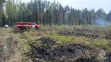 Лесной пожар тушили накануне в Кинешемском районе Ивановской области
