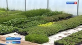 Фермеры Ивановской области осваивают новое направление
