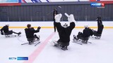 Свой дебютный матч проведет завтра ивановская команда по следж-хоккею «Шторм»