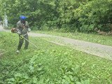 Второй этап выкашивания травы завершается в Иванове