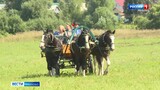 Фестиваль «Праздник русских традиций» прошел в Ивановской области