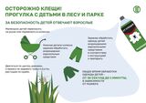 С начала сезона по поводу укусов клещей жители Ивановской области обратились 1418 раз