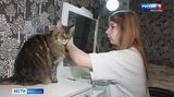 Подарить мечту и вернуть здоровье юной ивановке может каждый житель области
