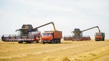 В Ивановской области набирает обороты уборочная кампания