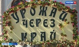 Самый известный гастрономический фестиваль «Лук-Лучок» прошёл Ивановской области