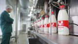 Производство питьевого молока в Ивановской области выросло более чем на треть за 7 месяцев 2026 года