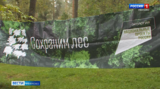 К всероссийской акции «Сохраним лес» присоединилась Ивановская область