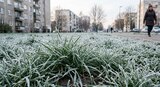 Синоптики обещают заморозки в Ивановской области