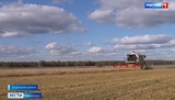 Аграрии Ивановской области получают дополнительную помощь от государства