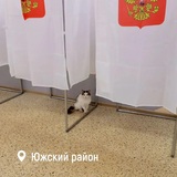 Первый день выборов в Ивановской области прошёл без спокойно