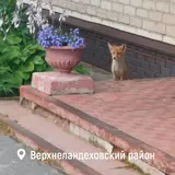 Второй день голосования за депутатов Госдумы завершился в Ивановской области