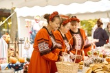 На «Дне урожая» продукцию представили почти 200 производителей Ивановской области