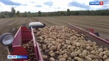 Аграрии Ивановской области завершают уборку зерновых культур